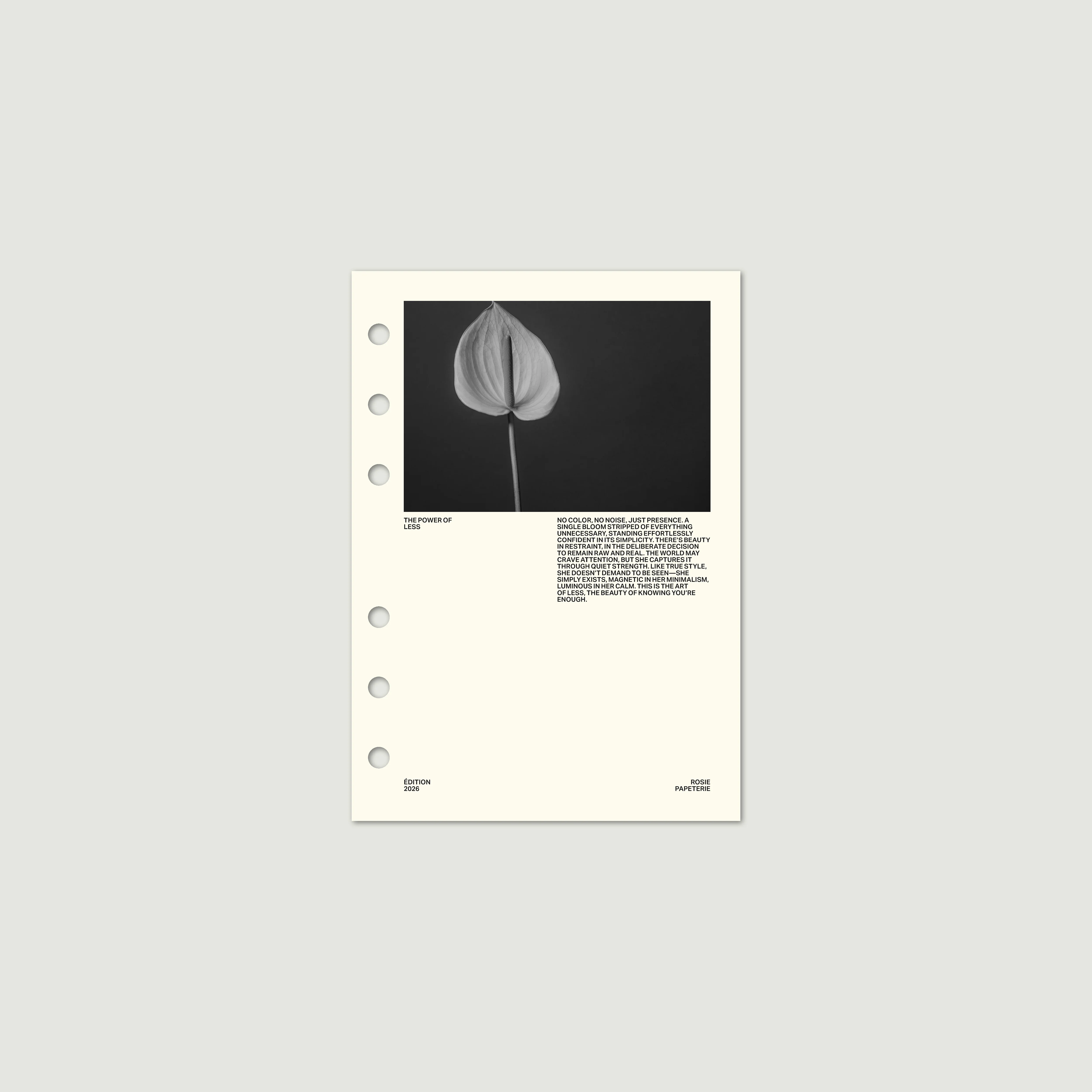 Power of Less Dashboard - Image 4